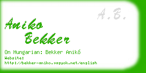 aniko bekker business card