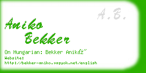 aniko bekker business card